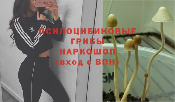твердый Кулебаки