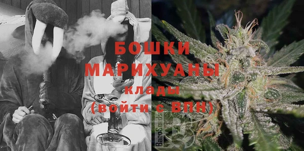 стаф Краснослободск