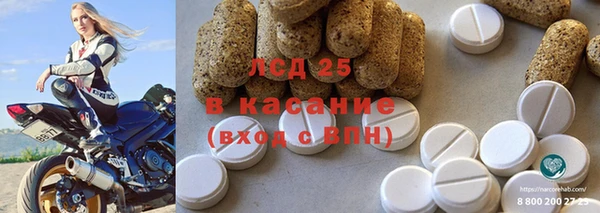 дживик Валдай