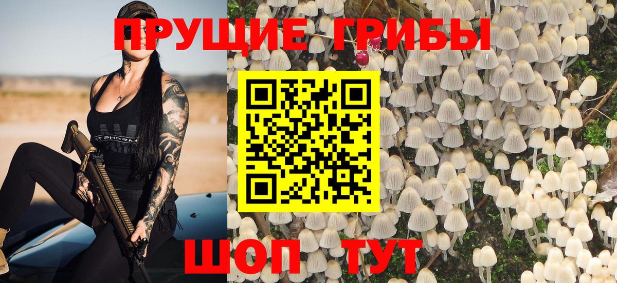 Псилоцибиновые грибы GOLDEN TEACHER  Вход с VPN  Лиски 
